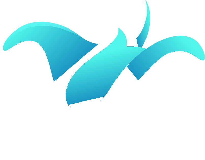 Manta Snorkeling Penida