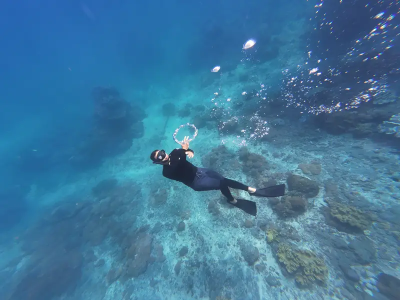 Snorkeler above hard coral at Crystal Bay