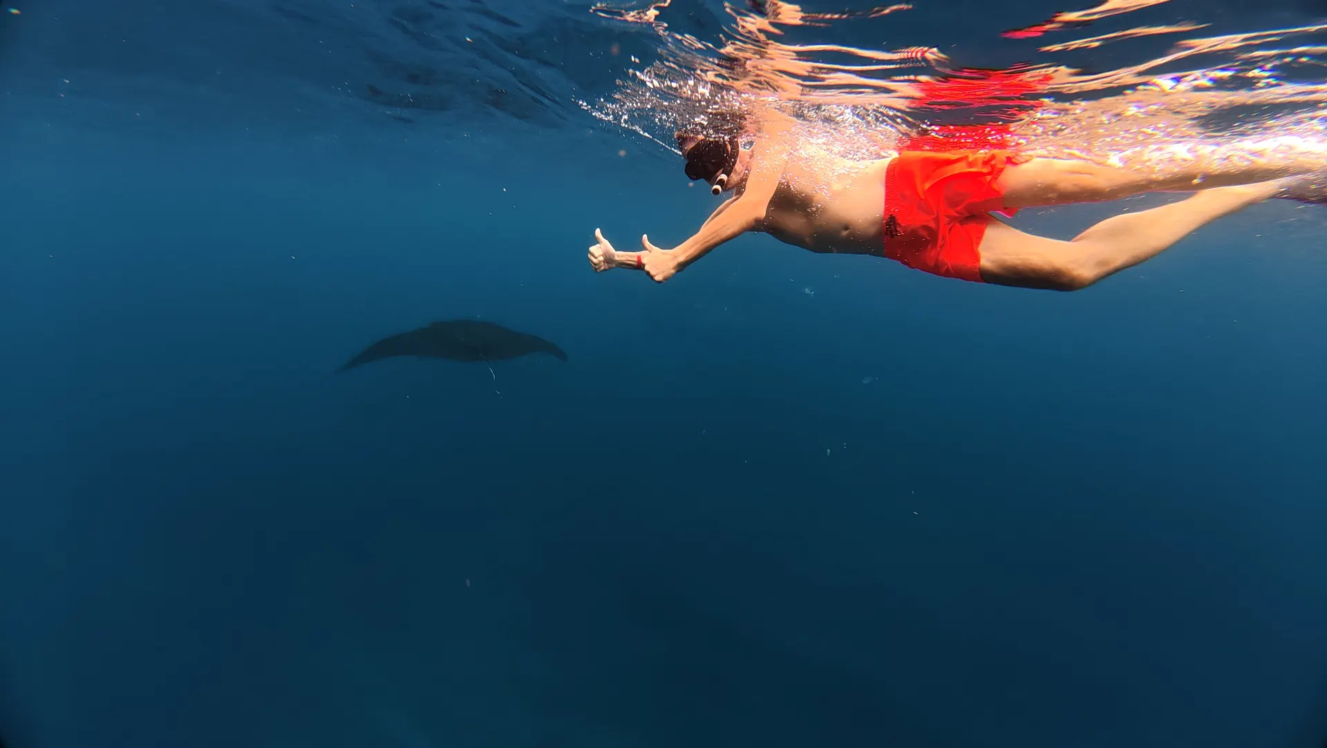 Snorkeler above a manta ray silhouette at Manta Bay