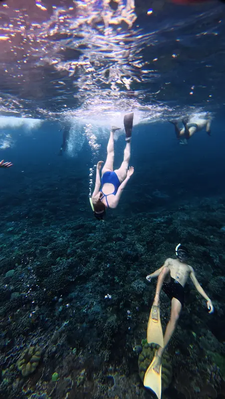 Snorkelers over the reef