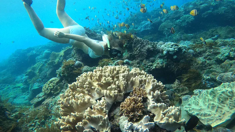 Snorkelers in life jackets floating above the reef at Manta Point, Nusa Penida